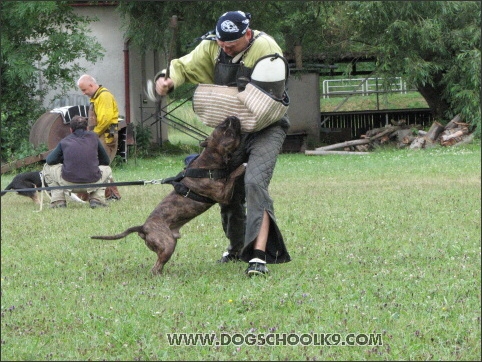 Training camp - Lukova 2007